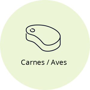 Carnes / Aves